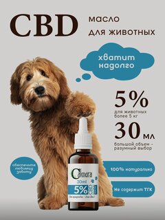 Изображение товара Масло CBD (КБД) OIL 5% для крупных животных (кошек и собак весом более 5 кг) 30мл