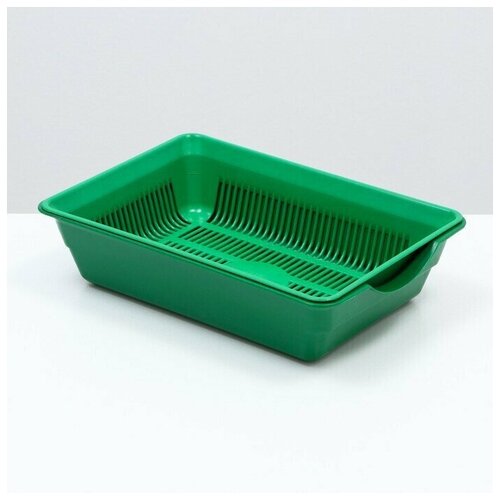 Лоток с сеткой 4 36 х 255 х 9 см зеленый 800₽