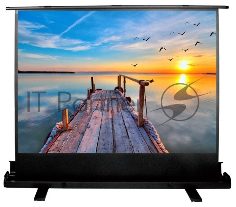 Экран Cactus 113x200см FloorExpert CS-PSFLE-200X113 16:9 напольный рулонный