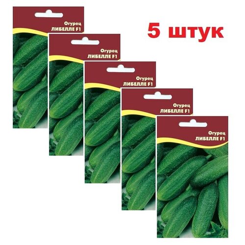 Семена Огурцов (5 упаковок) Либелле F1 на рассаду для теплицы и в грунт самоопыляемые лучшие ранние семена сорта огурцов 2023
