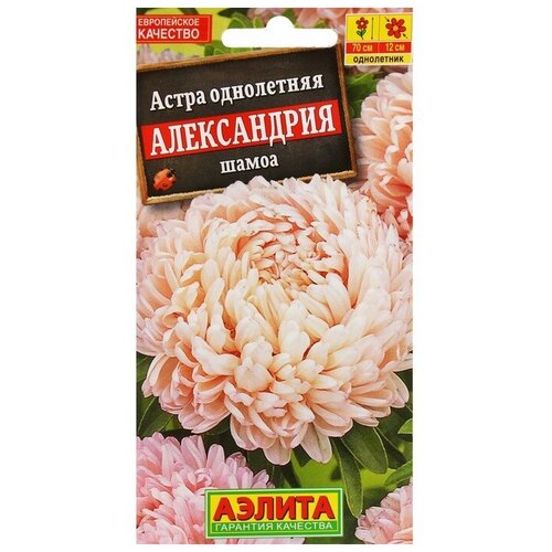 Семена Цветов Астра Александрия шамоа, ц/п, 0,1 г