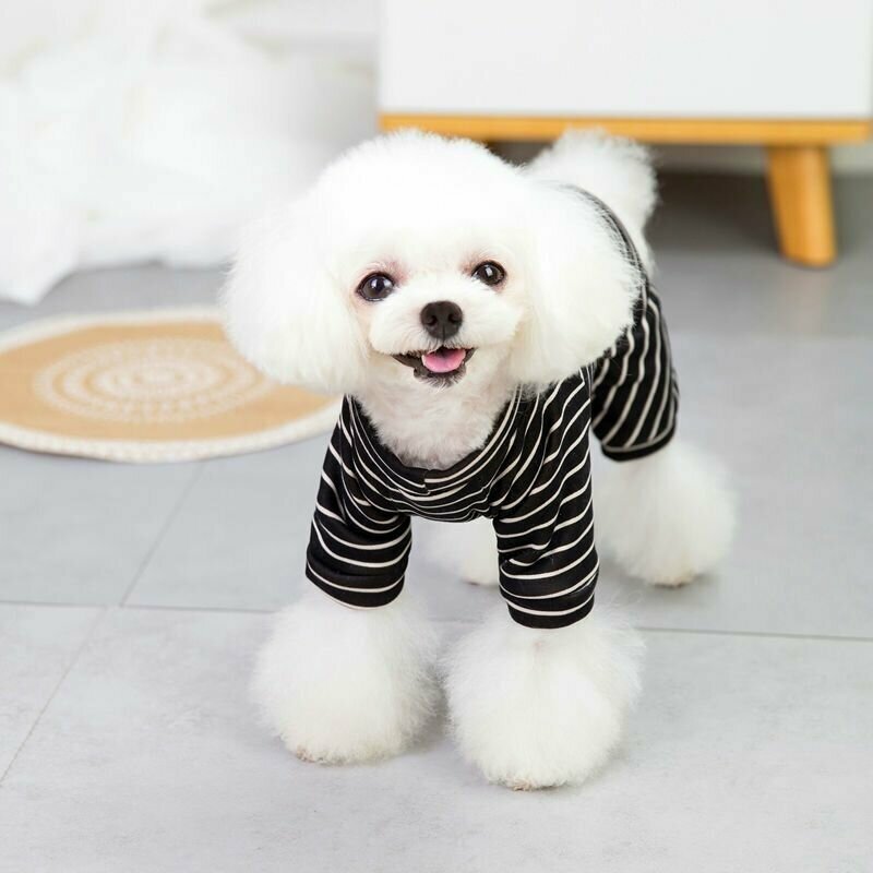 Комбинезон для собак мелких пород Arnydog "Фан" черный, XL (35 см) - фотография № 3