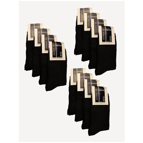 фото 12 пар, носки мужские хлопковые тонкие, с массажным эффектом, размер 41-47, черные береза