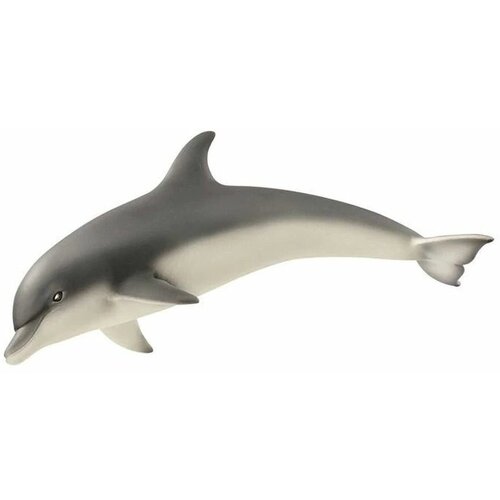 Животное дельфин
