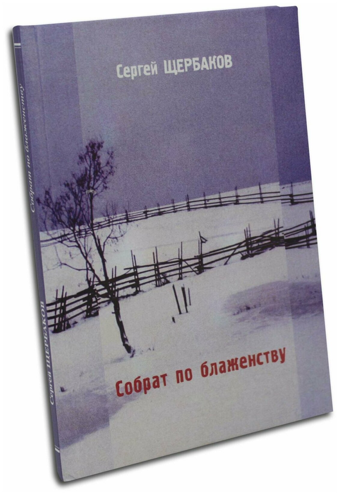 Собрат по блаженству. Сергей Щербаков. Рос. писатель. М. м/ф. тв/п. #106723