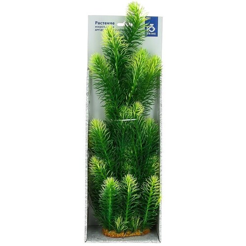 Пластиковое Растение Prime Ротала зеленая 38см