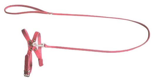 Шлейка с поводком Аркон Стандарт (к8), обхват шеи 24-32 см, красный