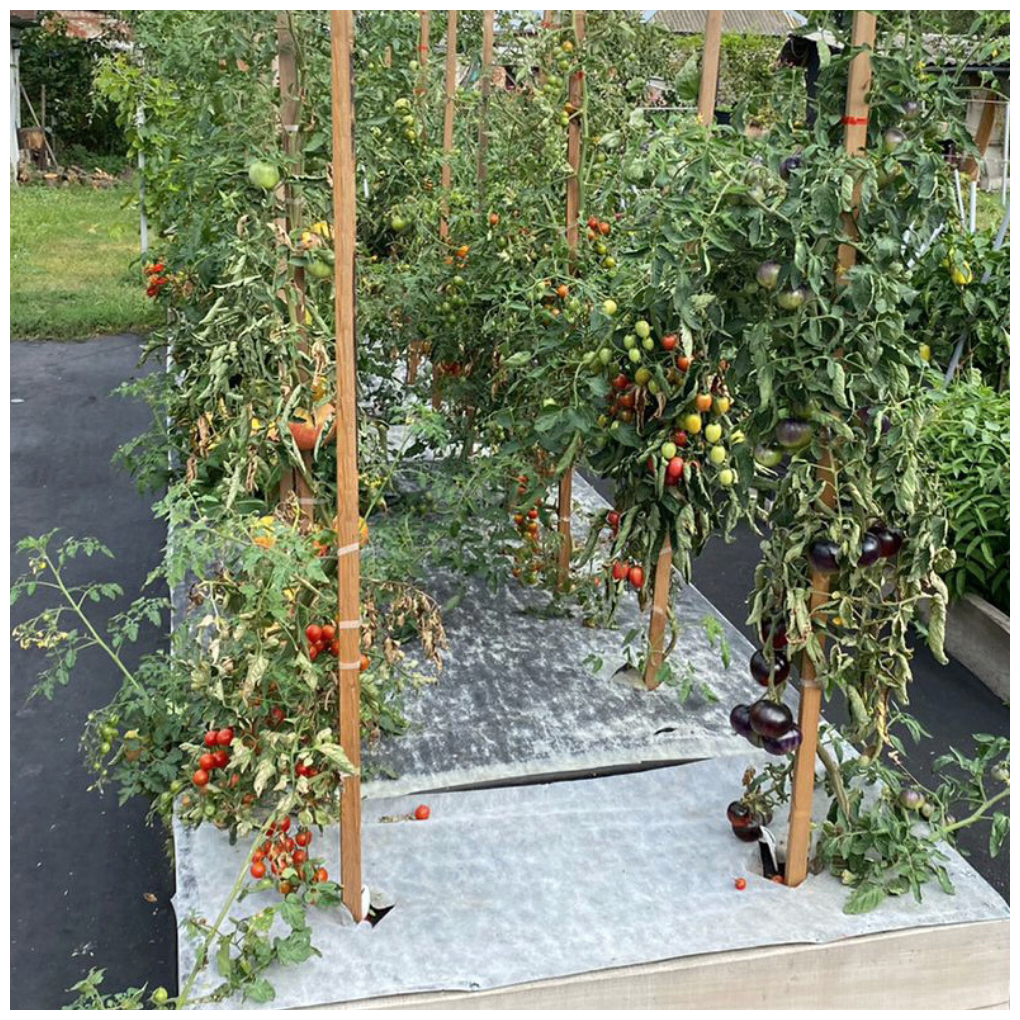 Агротекс Комплект для томатов (бело-черный 80-1,06 -6м перф 1ряд 50*8 + белый 30-3,2- 8м + лента L=15) - фотография № 7