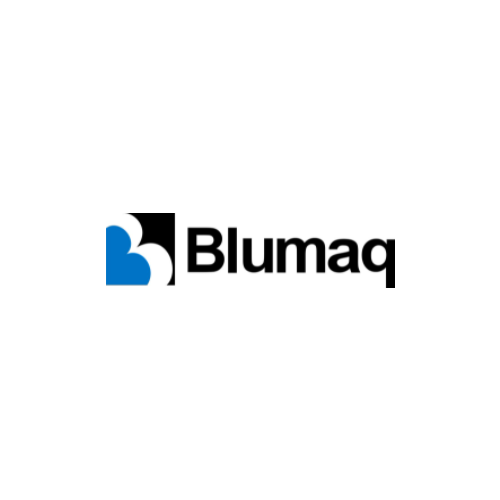 BLUMAQ VOE11039581 Датчик уровня
