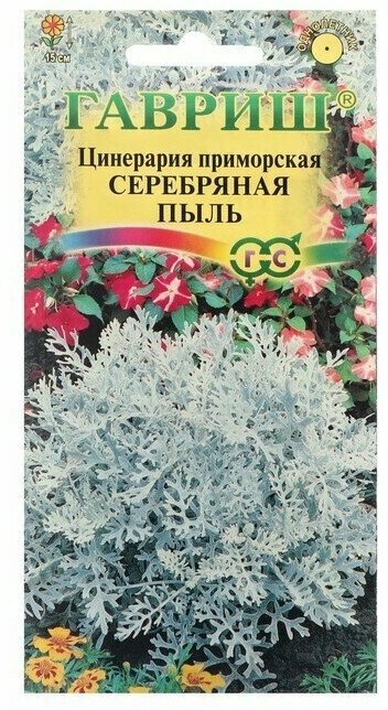 Семена цветов Цинерария приморская Серебряная пыль , 0,05 г