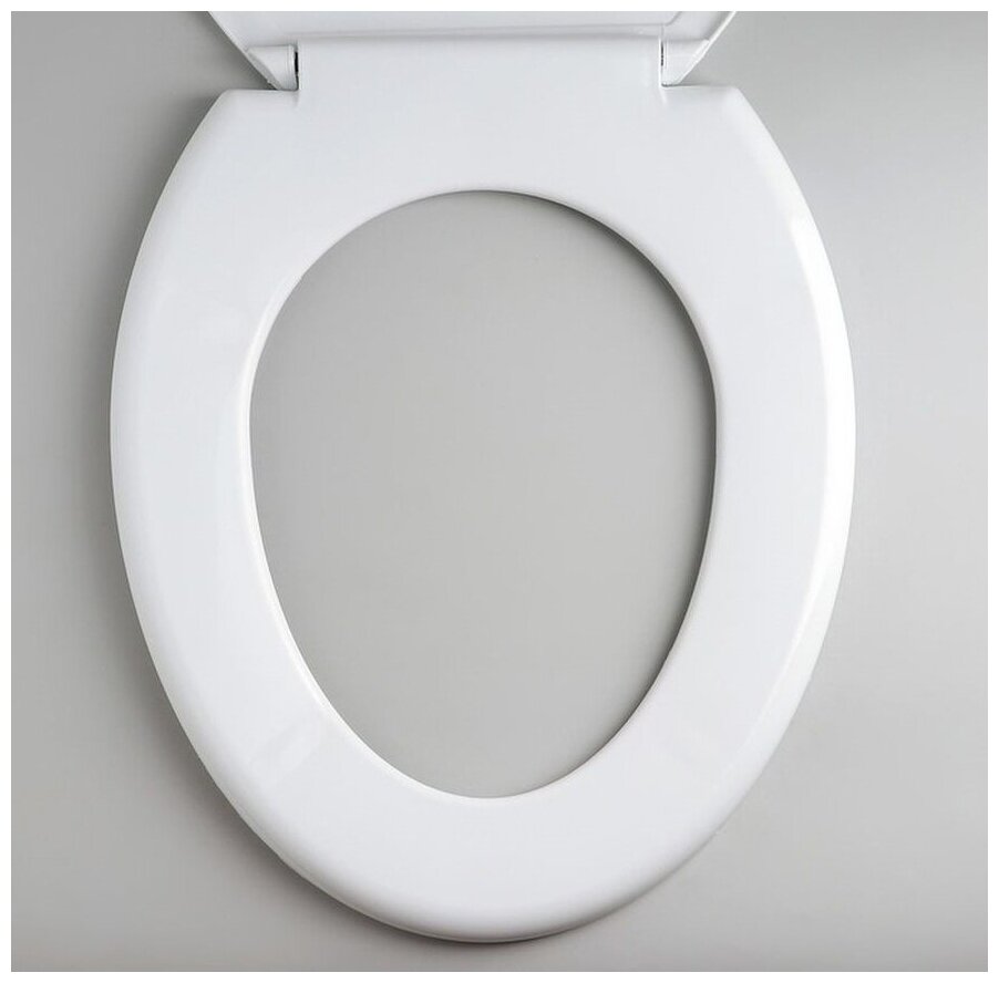 Сиденье на унитаз с рисунком "Орхидея" РП-813 — фото 1