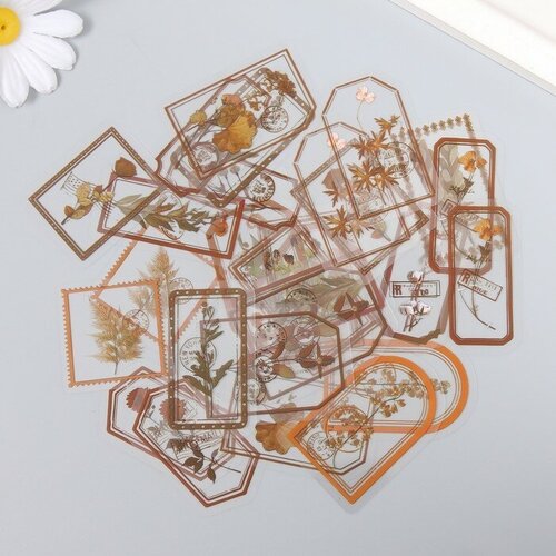 Наклейки для творчества Теги - Дикие цветы набор 30 шт 02х8х11 см 553₽