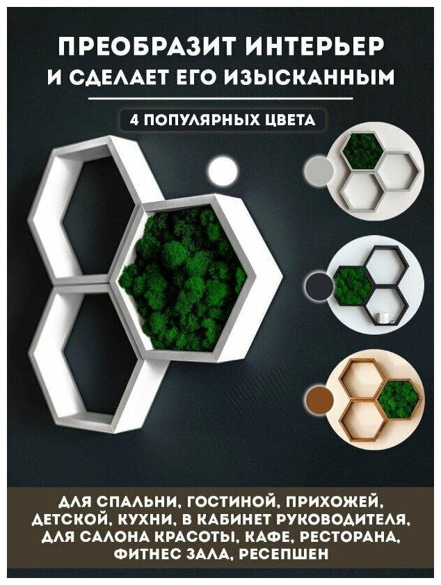 Полки соты со мхом, полка настенная, панно настенное, декор для дома, декор для интерьера