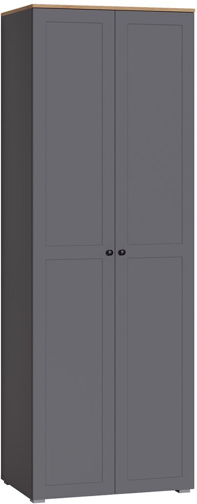 Шкаф для одежды Остин 13.224 серый графит, дуб вотан, серый графит ПВХ - фотография № 1