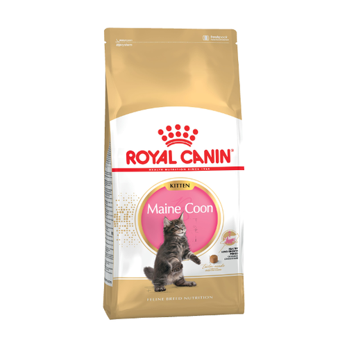 ROYAL CANIN Kitten Maine Coon Сухой корм д/котят породы Мейн-кун