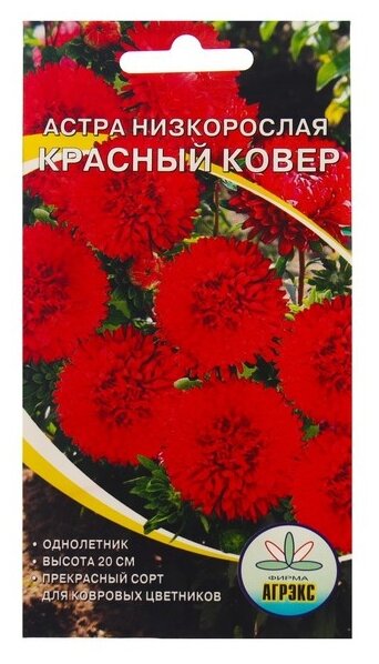 фото Семена Агрэкс Астра Красный ковер низкорослая 0,2 г