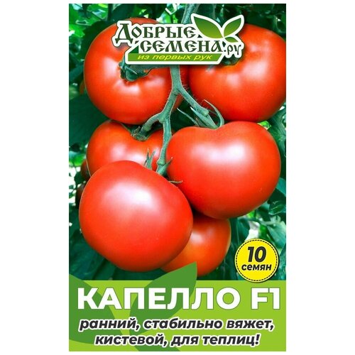 Семена томата Капелло F1 - 10 шт - Добрые Семена. ру