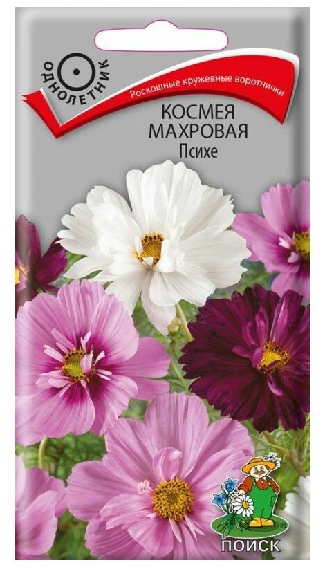 Космея Махровая Психе 0,2 грамм, Поиск