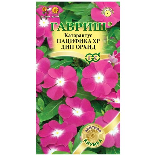 семена цветов катарантус барвинок пацифика хр дип орхид 7 сем семена огурец кураж f1 2 подарка от продавца Семена. Катарантус Пацифика XP Дип Орхид (7 штук)