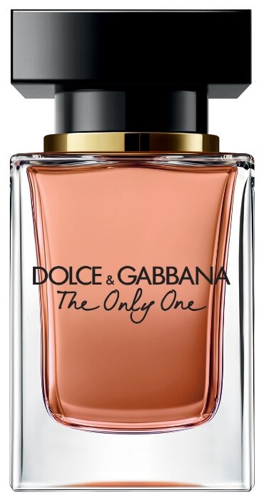 dolce & gabbana the one and only