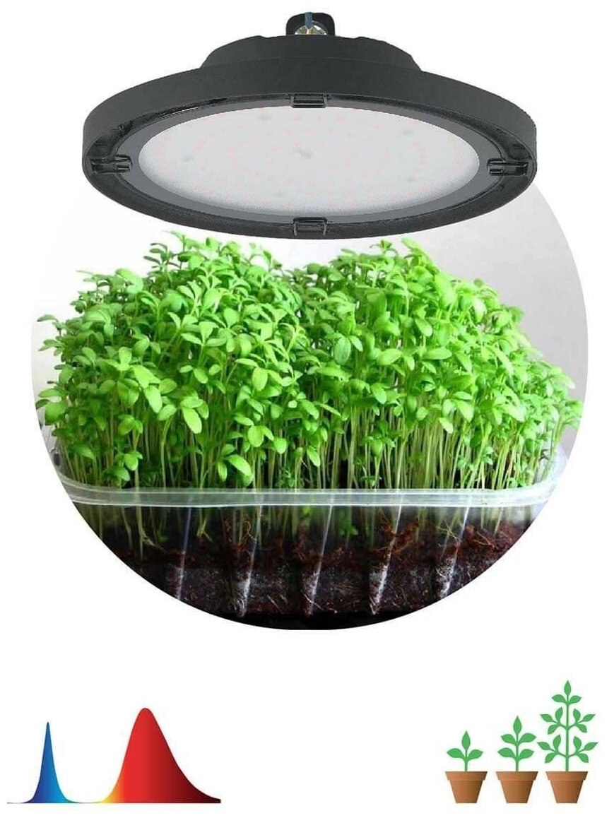 Фитопрожектор для выращивания растений ЭРА FITO RB UFO 50Вт