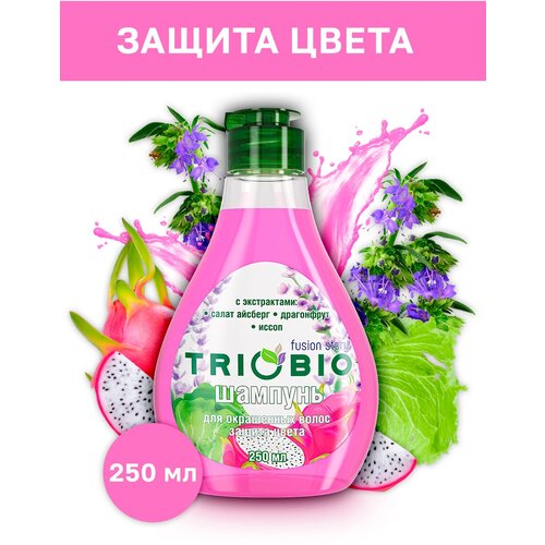 Шампунь для окрашенных волос, защита цвета с экстрактами салата айсберг, драгонфрута, исcопа ТМ TRIOBIO 250 мл.