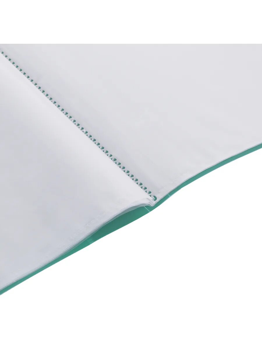 Папка с файлами А4 100л — фото 1