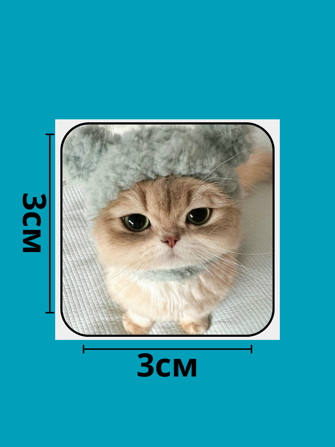 3D наклейка "коты" на телефон 3D наклейка "коты" на телефон. — фото 1