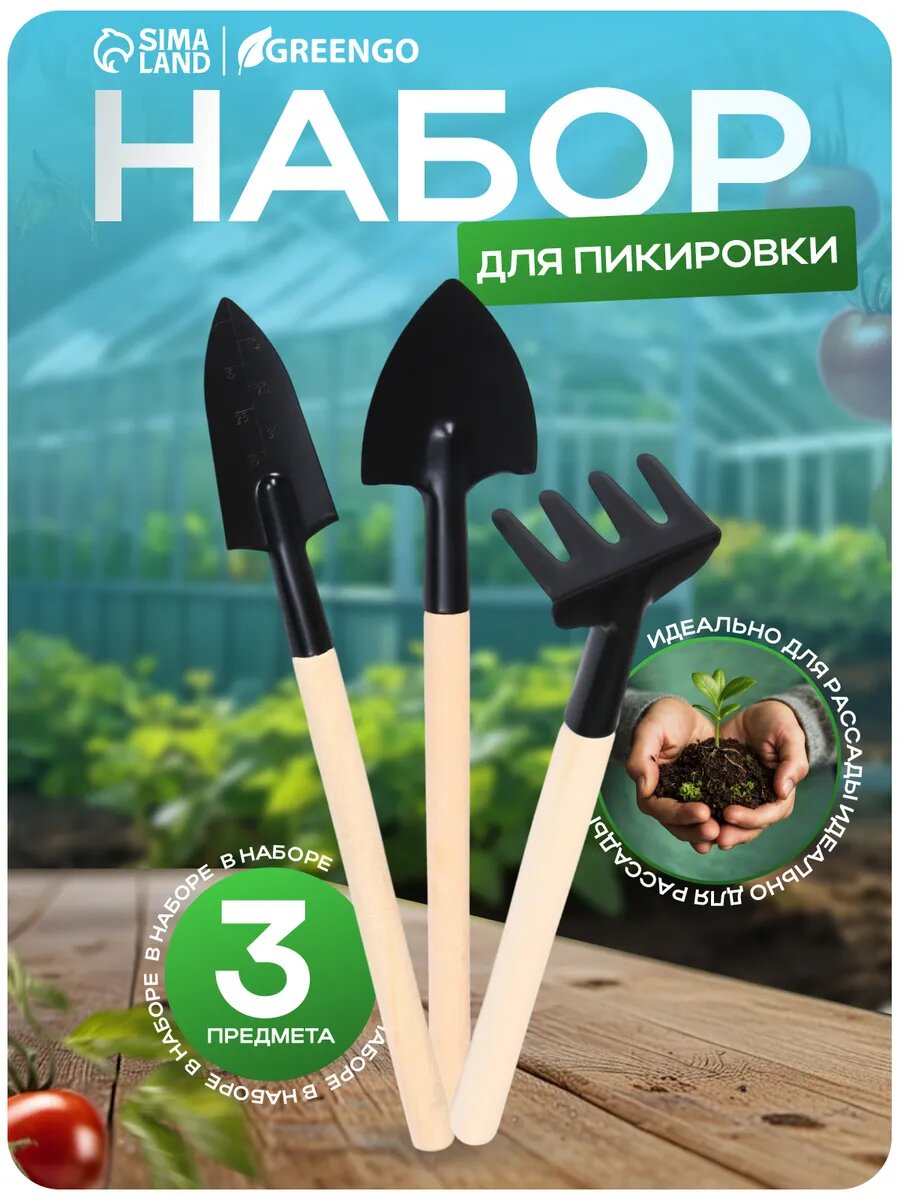 Набор садового инструмента, 3 предмета: грабли, 2 лопатки, длина 24 см, деревянные ручки, Greengo