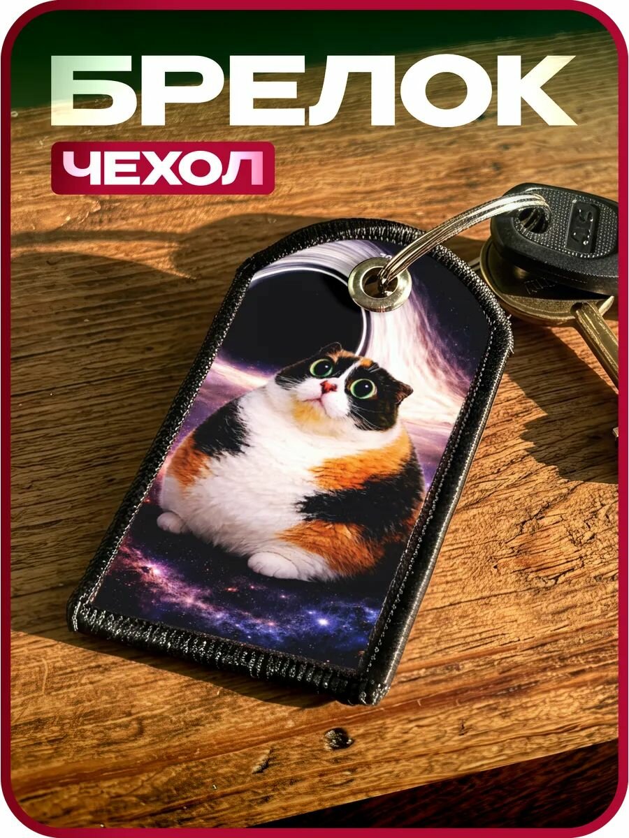Чехол для ключа домофона Котость мем