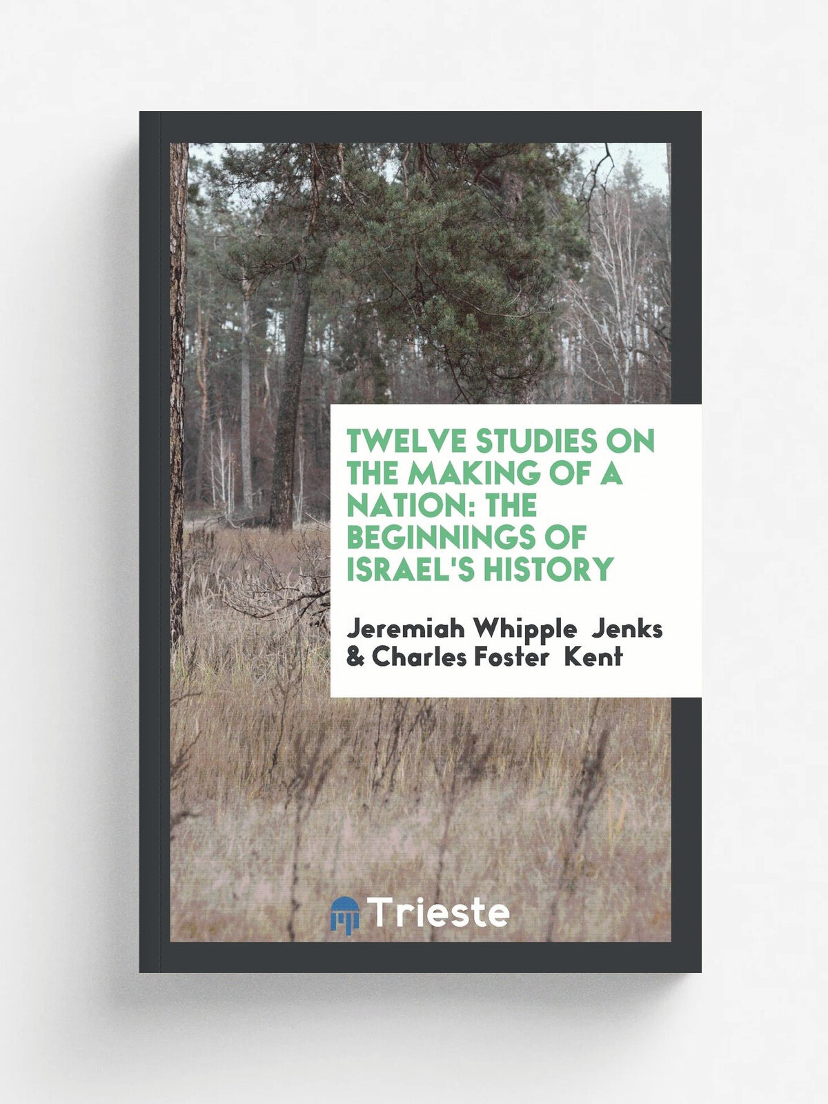 Twelve Studies on the Making of a Nation. The Beginnings of Israel's History