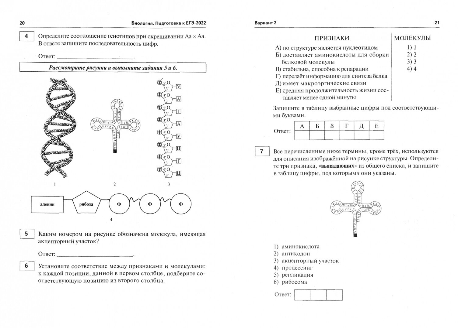 ЕГЭ-2022 Биология. 30 тренировочных вариантов по демоверсии 2022 года - фото №2