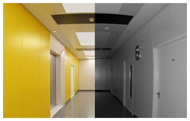 Монитор с трансляцией с камеры в приложении