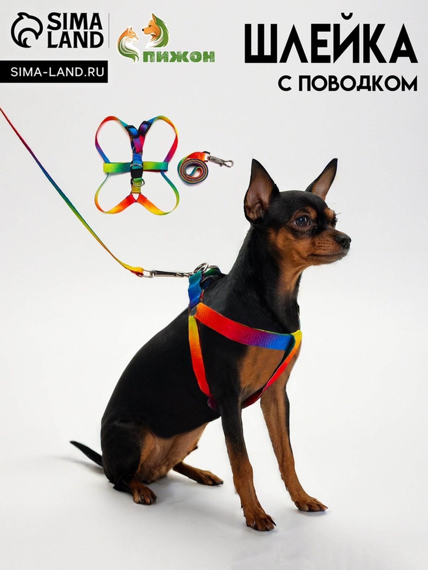 Комплект  Радуга   капрон  поводок 120 х 1 5 см  ОГ 24 34 см  разноцветный