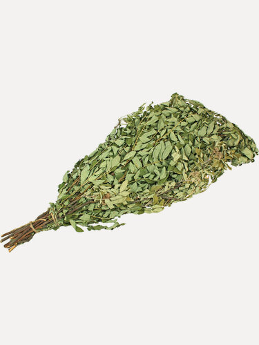 Изображение товара Веник рябиновый для бани Суши Веник, противомикробные свойства, сбор 2025 года