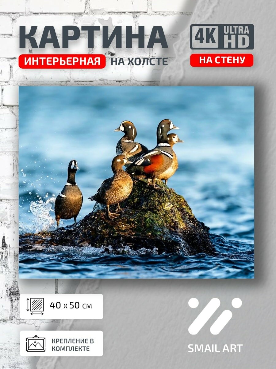 Картина на холсте интерьерная 40 на 50 на стену Птицы Утки для кабинета атмосфера