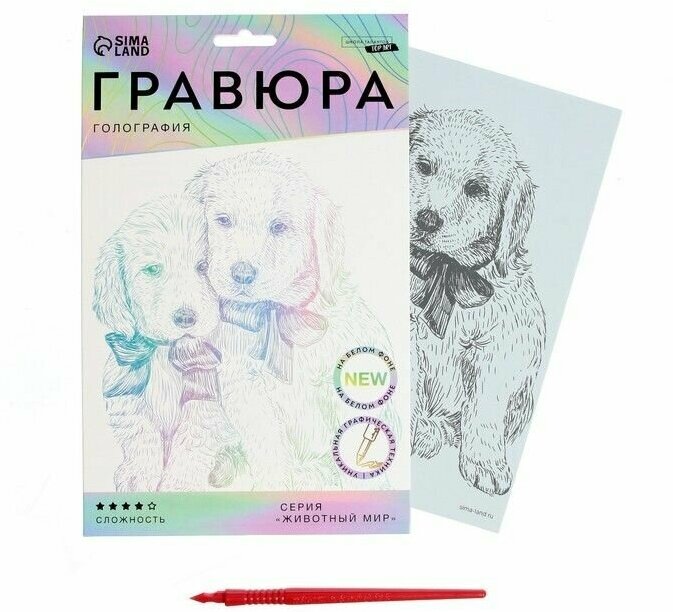 Гравюра 