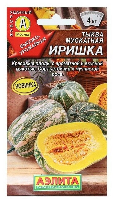 Семена Тыква мускатная "Иришка", 1 г