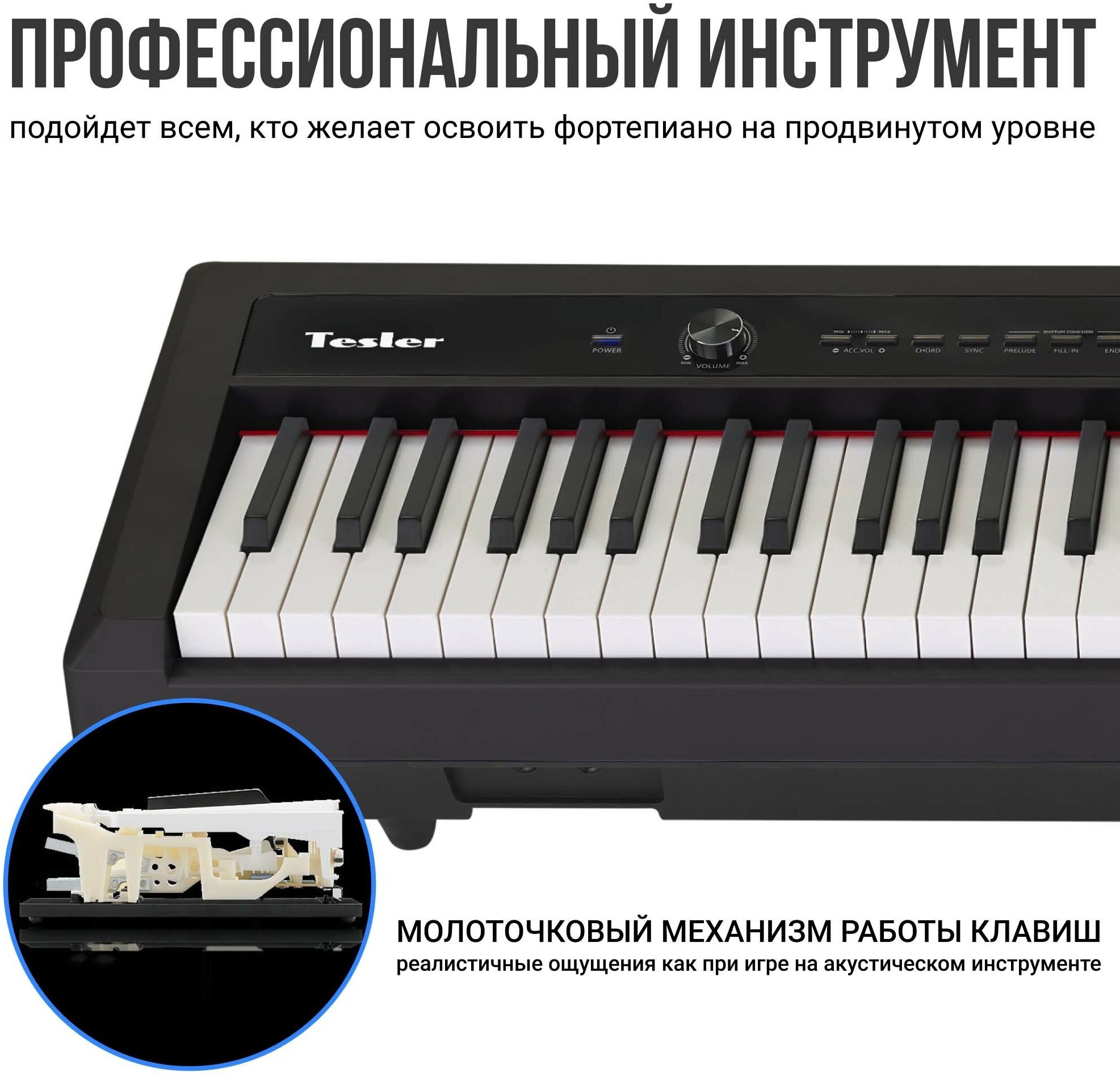 Цифровое пианино TESLER STZ-8800 BLACK