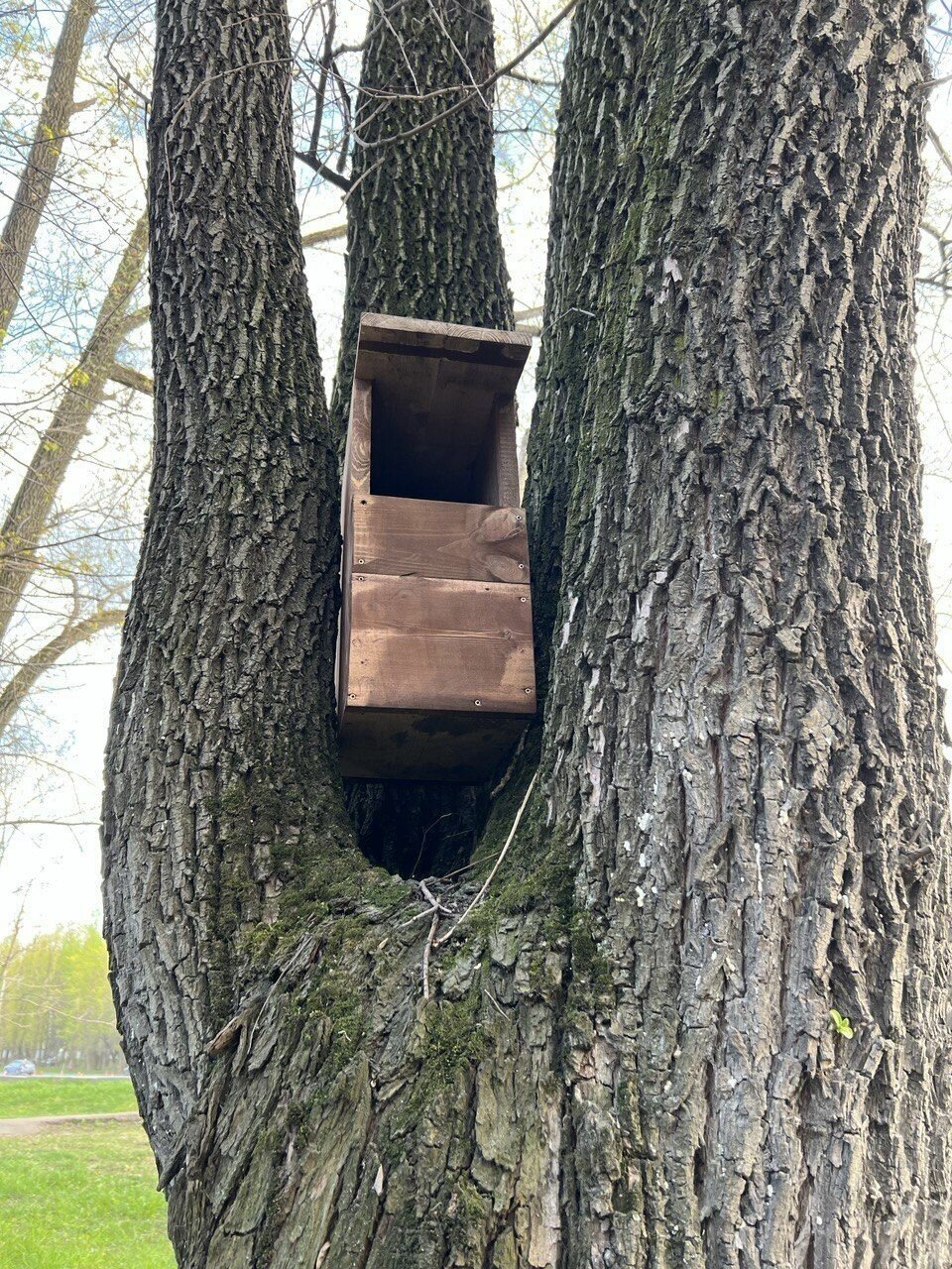 Деревянный скворечник-совятник для птиц сов из дерева сосны, собранный, WS-006 - фотография № 13