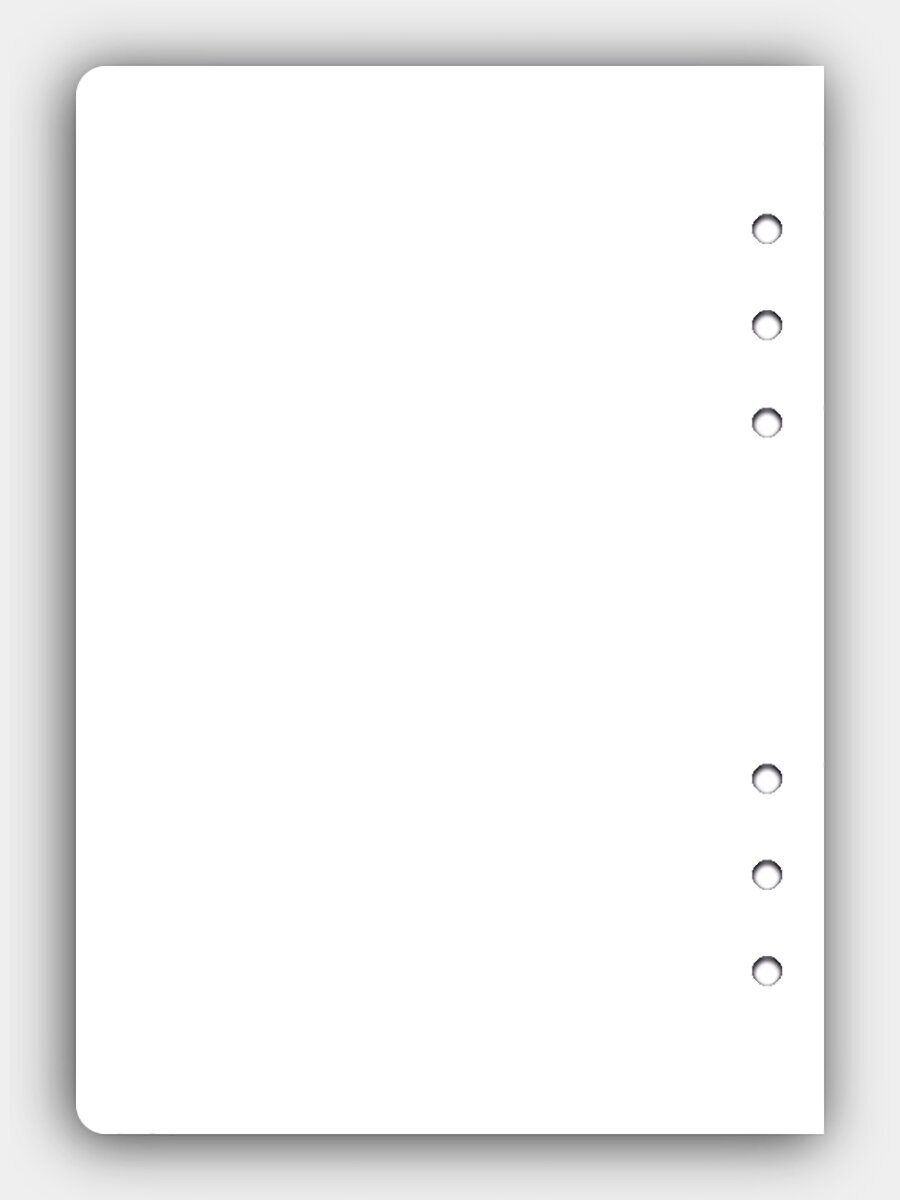 Сменный блок для ежедневника/тетради на кольцах RUDORI, 160 листов, белый, без линовки.