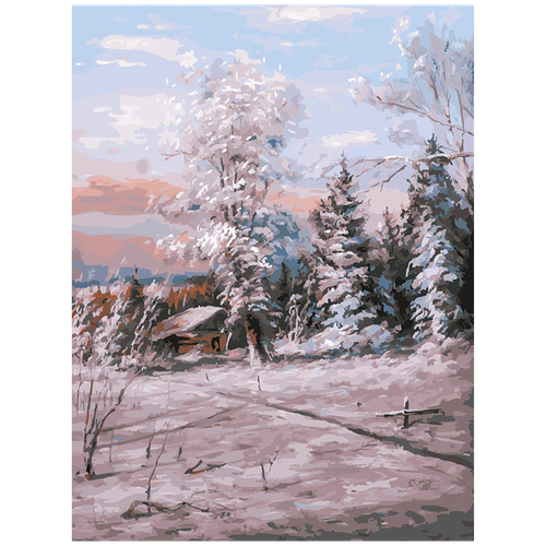 Картина по номерам Белоснежка: Зимний день (192-AS )