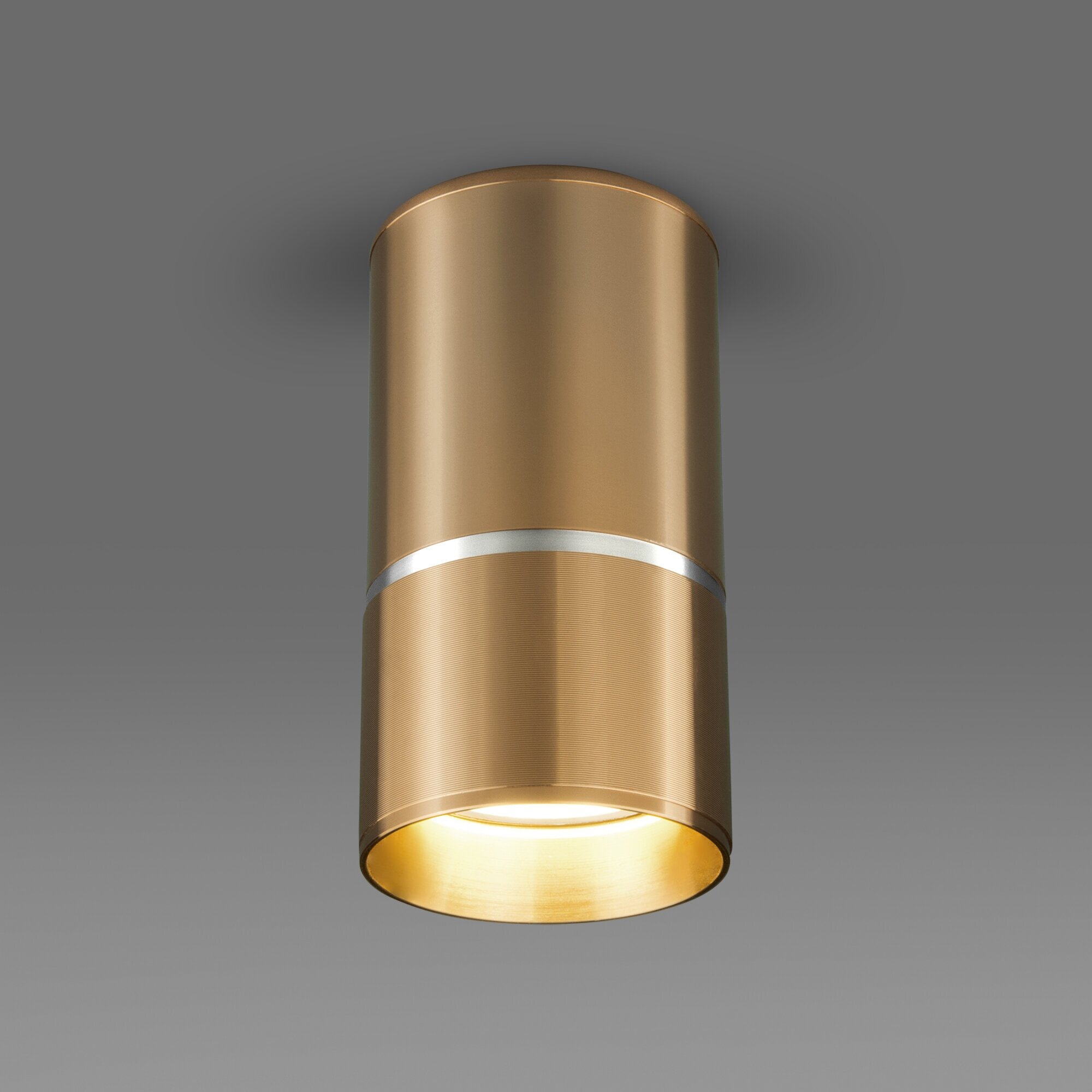 Спот / Накладной потолочный светильник Elektrostandard DLN106, GU10, цвет золото