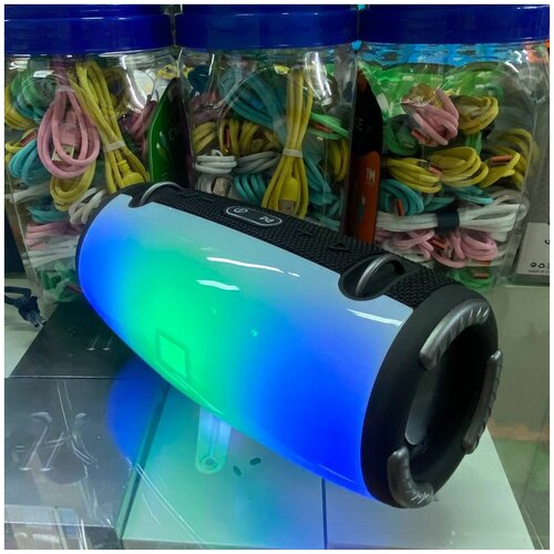 Портативная колонка XTREEM4 141500₽