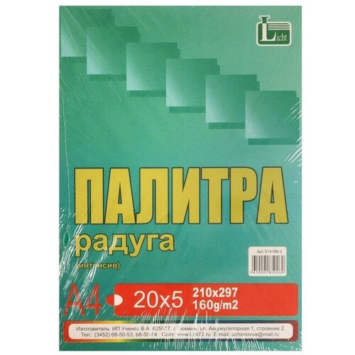 Licht бумага цветная А4 100л Палитра колор Интенсив 5 цветов 160г/м2