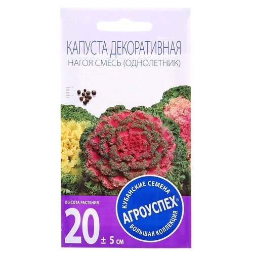 Набор семян Агроуспех Капуста декоративная Нагоя, О, 10 шт семена цветов капуста декоративная нагоя о 10 шт 2 шт