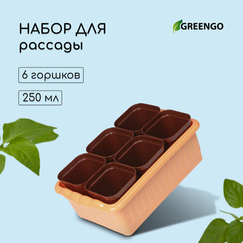 Набор для рассады: стаканы по 250 мл (6 шт.), контейнер 24 × 16 см, микс форма для запекания квадратная цвет бежевый 0 6 л