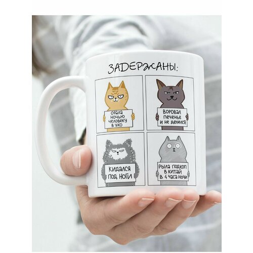 Кружка Котик задержаны 490₽