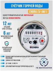 Счетчик воды, Водосчетчик Enbra EV-AM1i 80мм ГВС (импульсный выход)