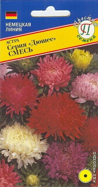 Астра Дюшес Смесь. Семена. Куст колоновидный высотой до 70 см. Пионовидные крупные цветки диаметром 7-8 см. Подходит на на срезку